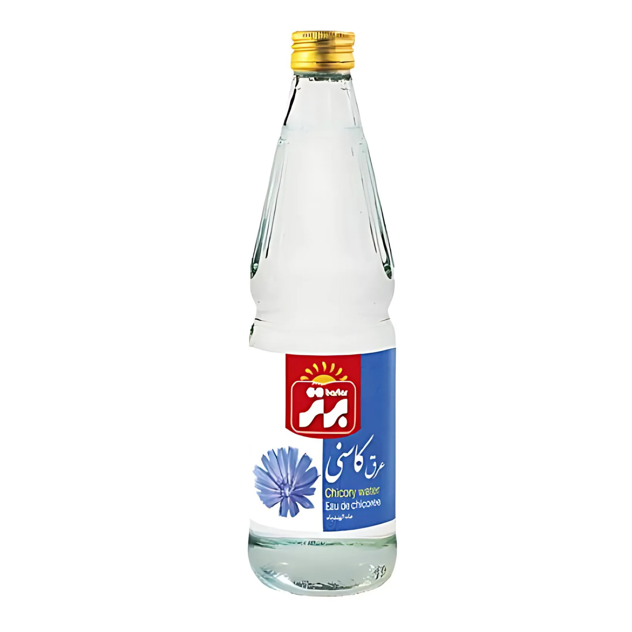 Chicory Water_0