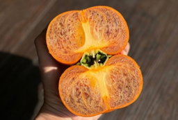 Japan Kumamoto Black Sesame Persimmon