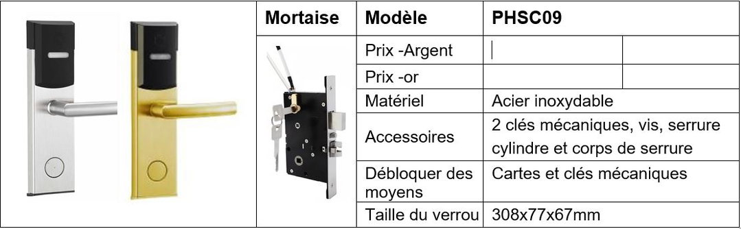 Serrure électronique 