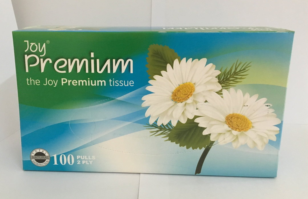JoySoft Tissue Box, 2Ply, 100sheets