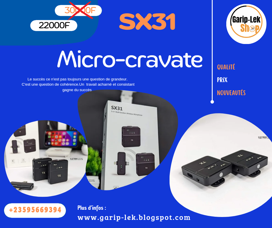 Microphone SX31_0