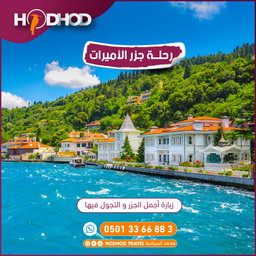 رحلة شيلا