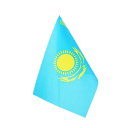ҚР Туы
