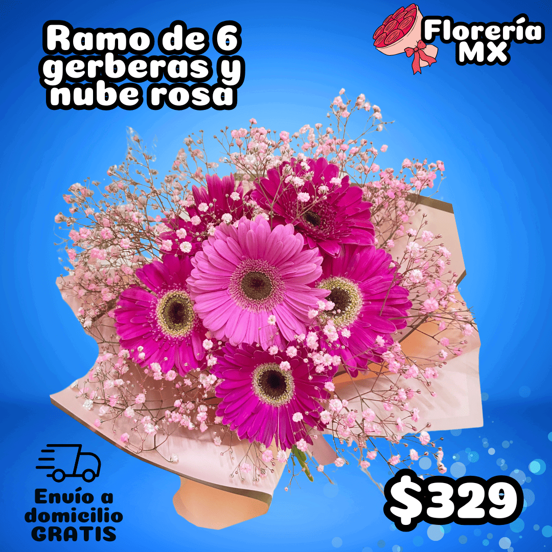 RAMO DE 6 GERBERAS CON NUBE ROSA_0