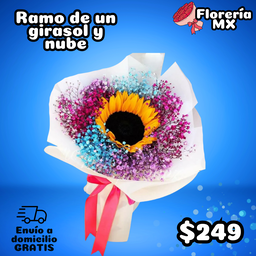 RAMO DE UN GIRASOL Y NUBE ARCOIRIS