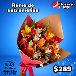 ASTROMELIAS