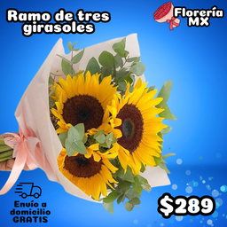 GIRASOLES