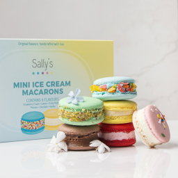Mini Ice Cream Macaron Box (6 Flavors)