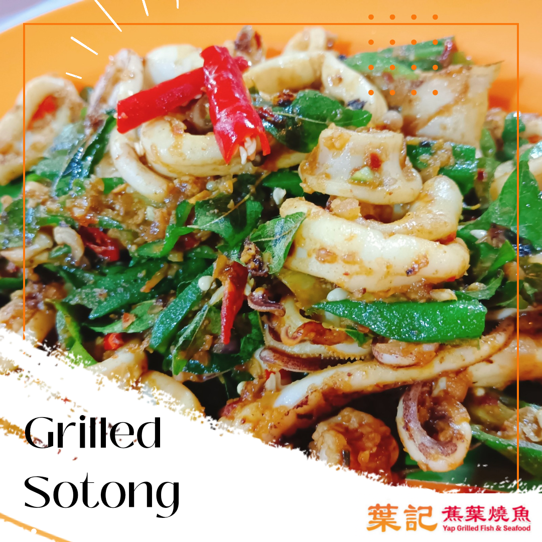 A7. Grilled Sotong_0