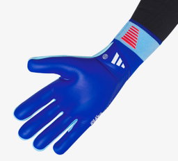 Adidas Predator Accuracy Pro GK Gloves