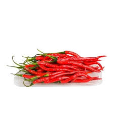 Cabe Merah Kriting _0