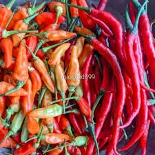 Bundle - Cabe Rawit & Kriting