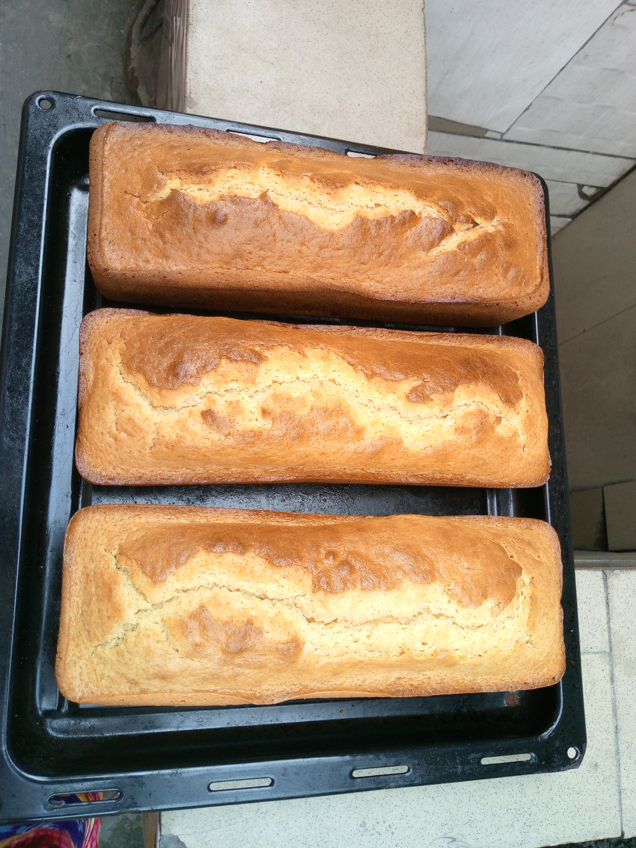 Cakes _3