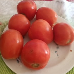 Legumes