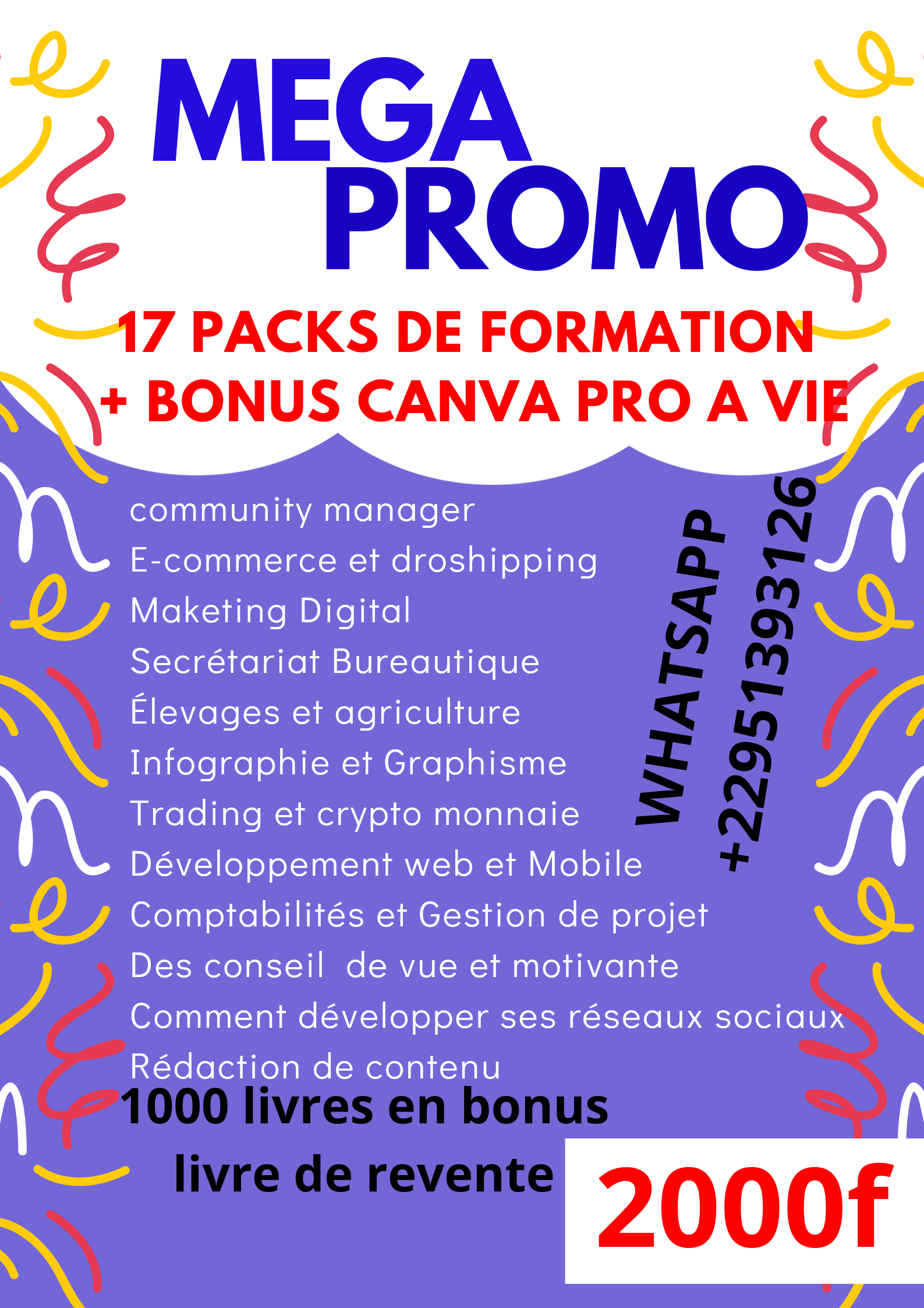 E-books dans diverses domaine _0