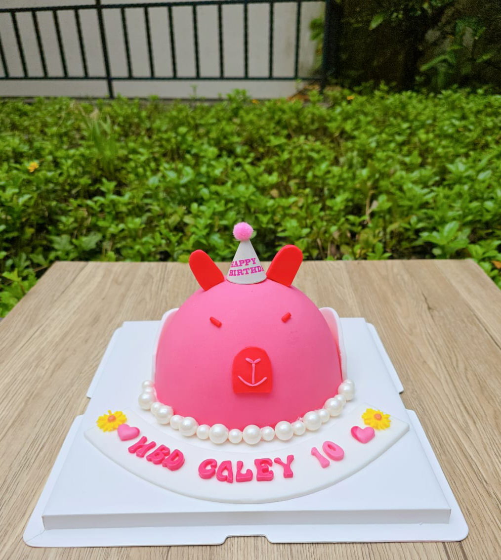 Pink Capybara_3