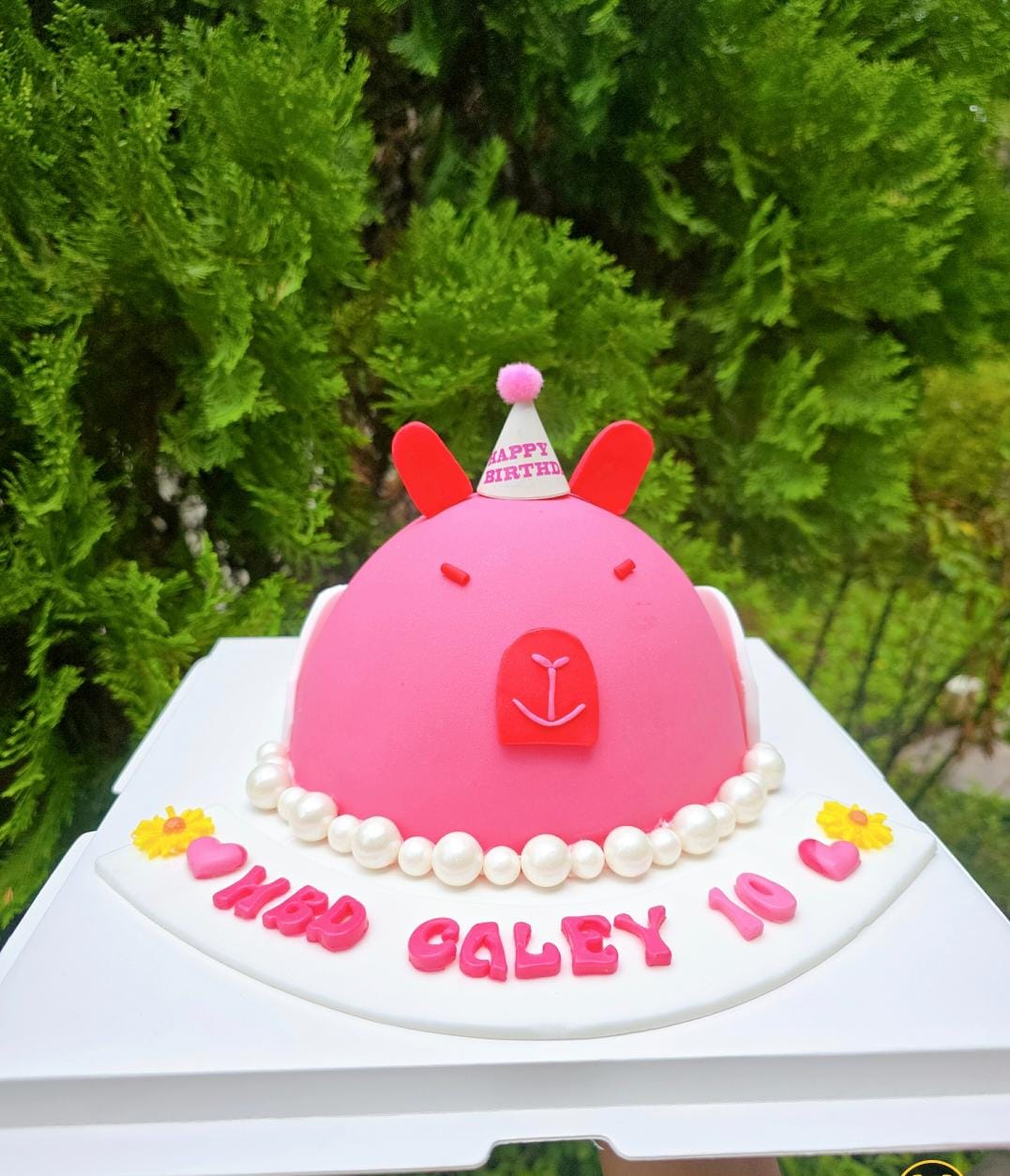 Pink Capybara_4