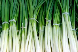 Daun Bawang_0