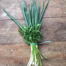 Bundle - Daun Bawang & Seledri_0