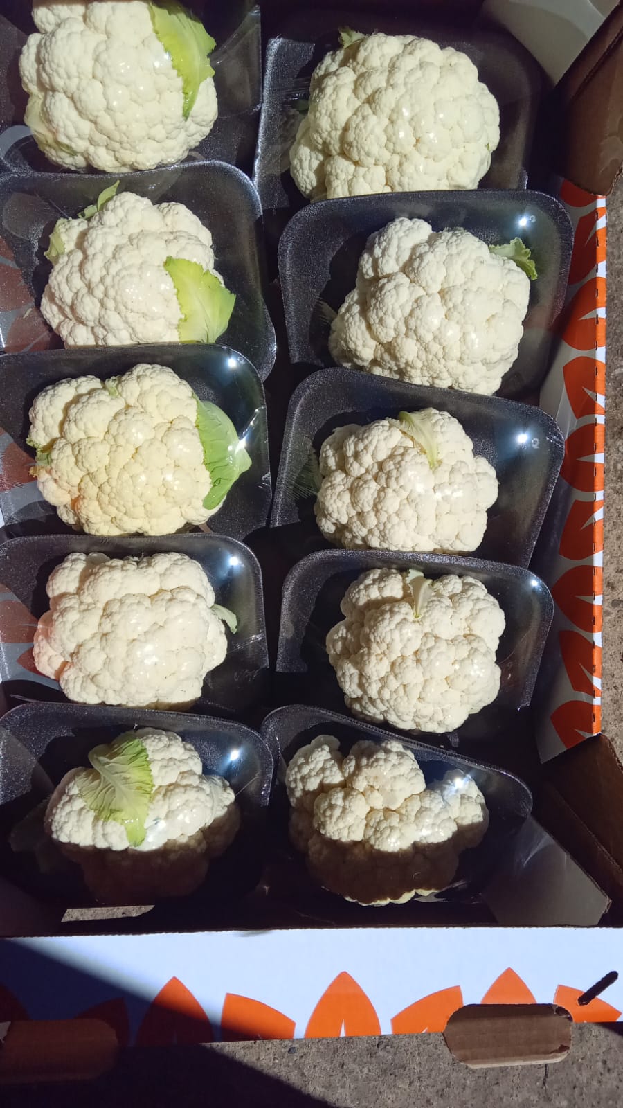 Cauliflower head