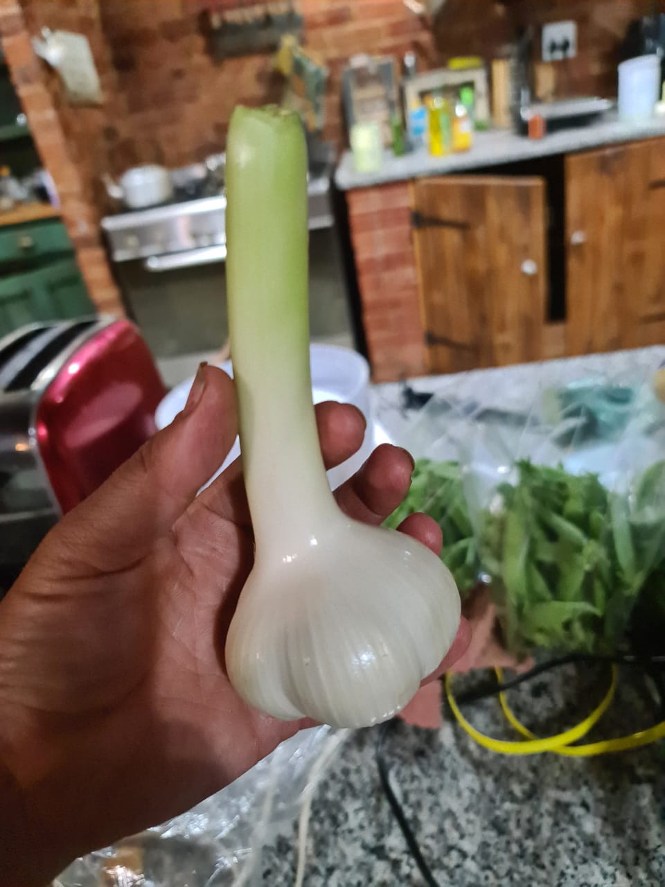 500g Garlic_0