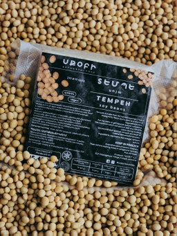 Tempeh/Natto