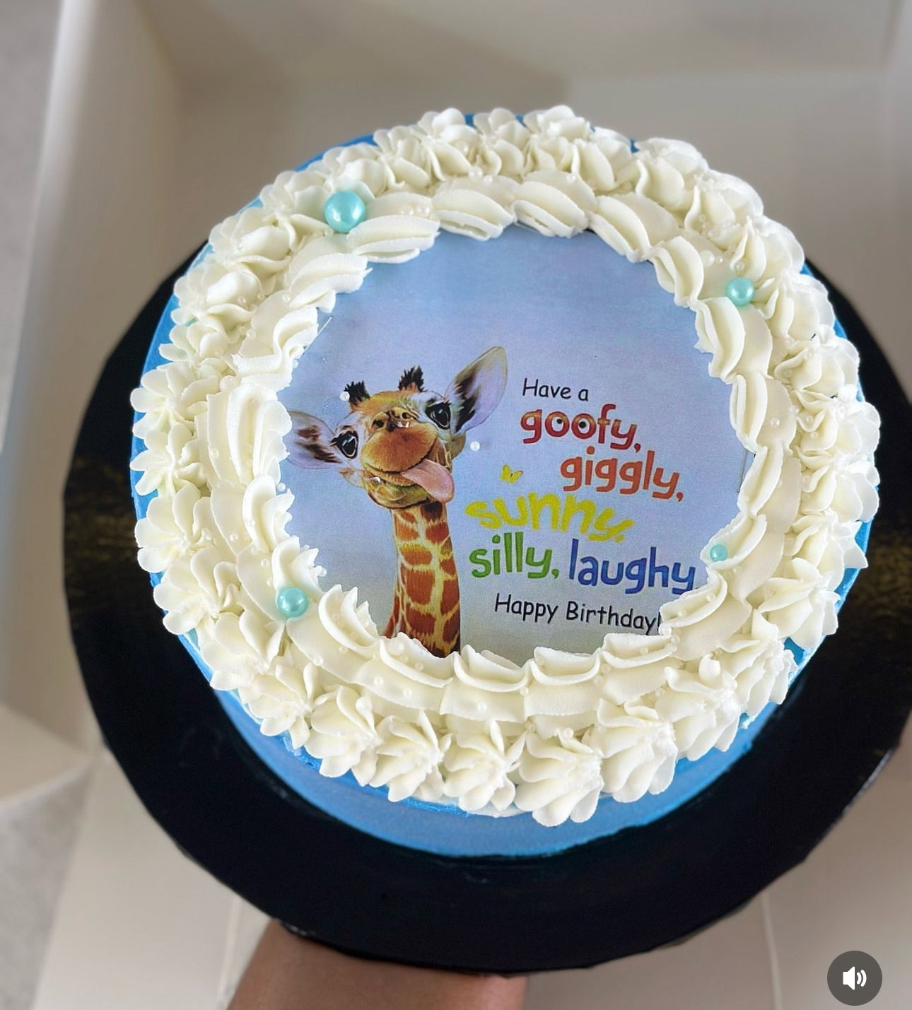 9 inches 1 Layer Whipped cream cake  _1