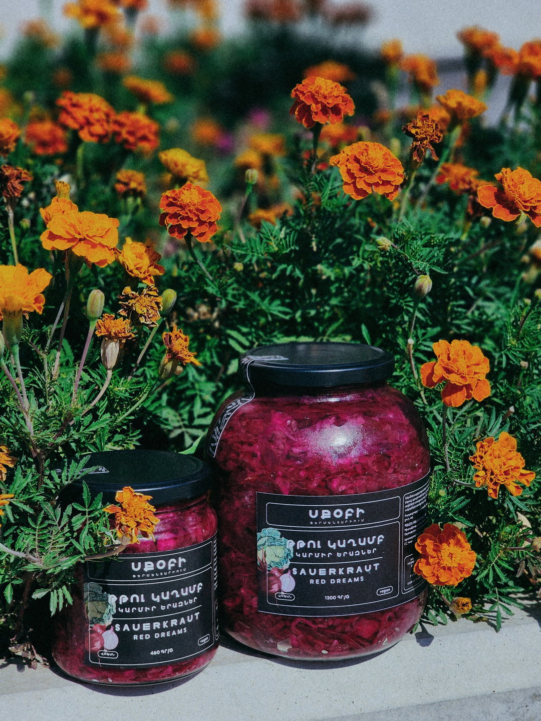 ԿԱՐՄԻՐ ԵՐԱԶՆԵՐ թթու կաղամբ / RED DREAMS Sauerkraut 