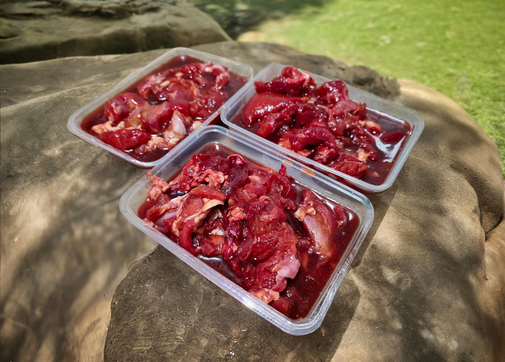 Homemade Chicken Tocino_0