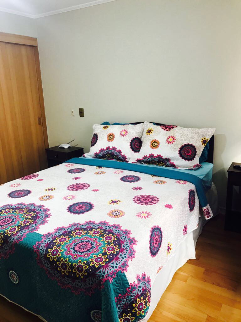 Arriendo departamento 1 ambiente zenteno_1