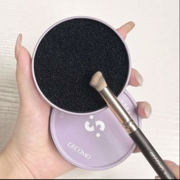 brush cleaner