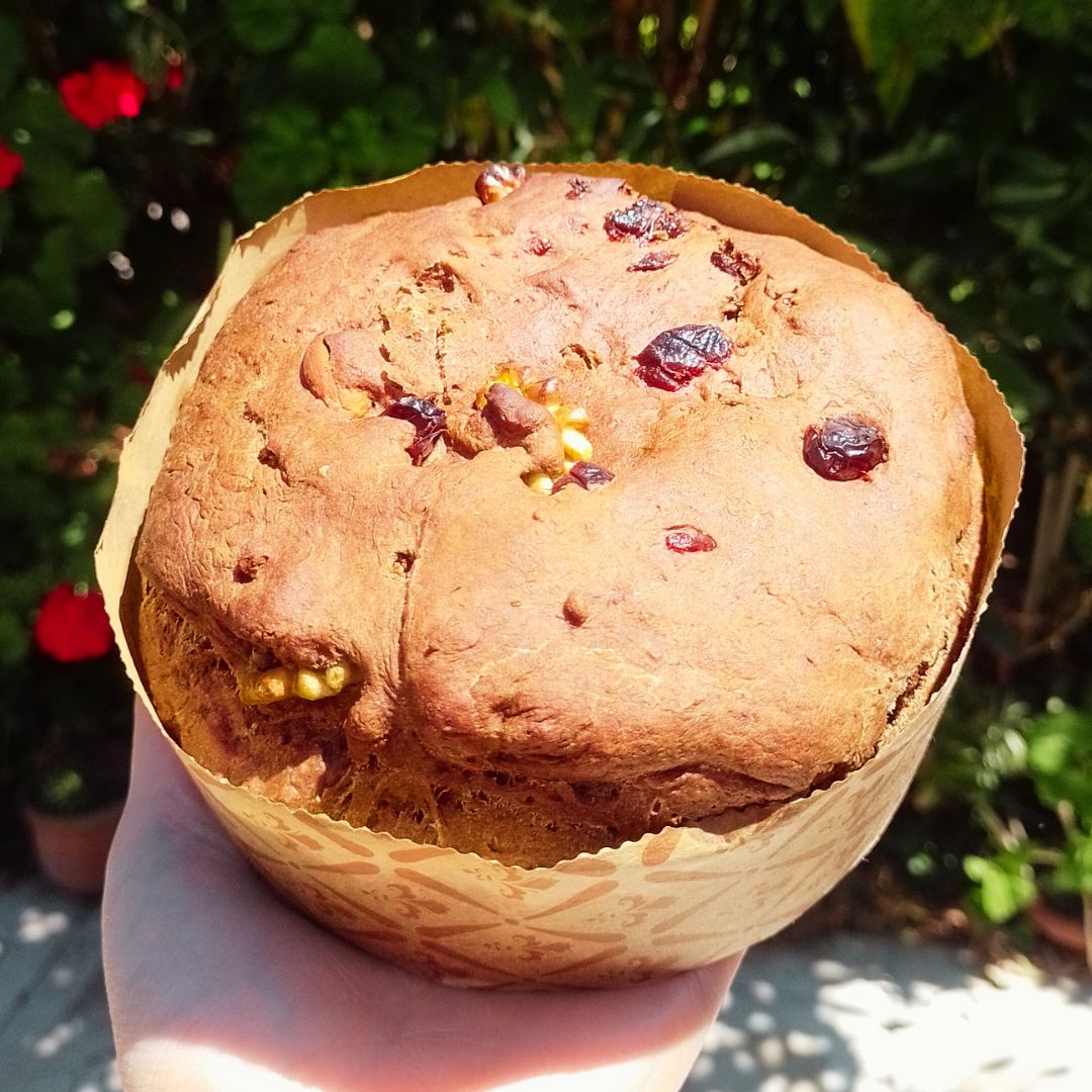 Pan de Navidad Sin Azúcar