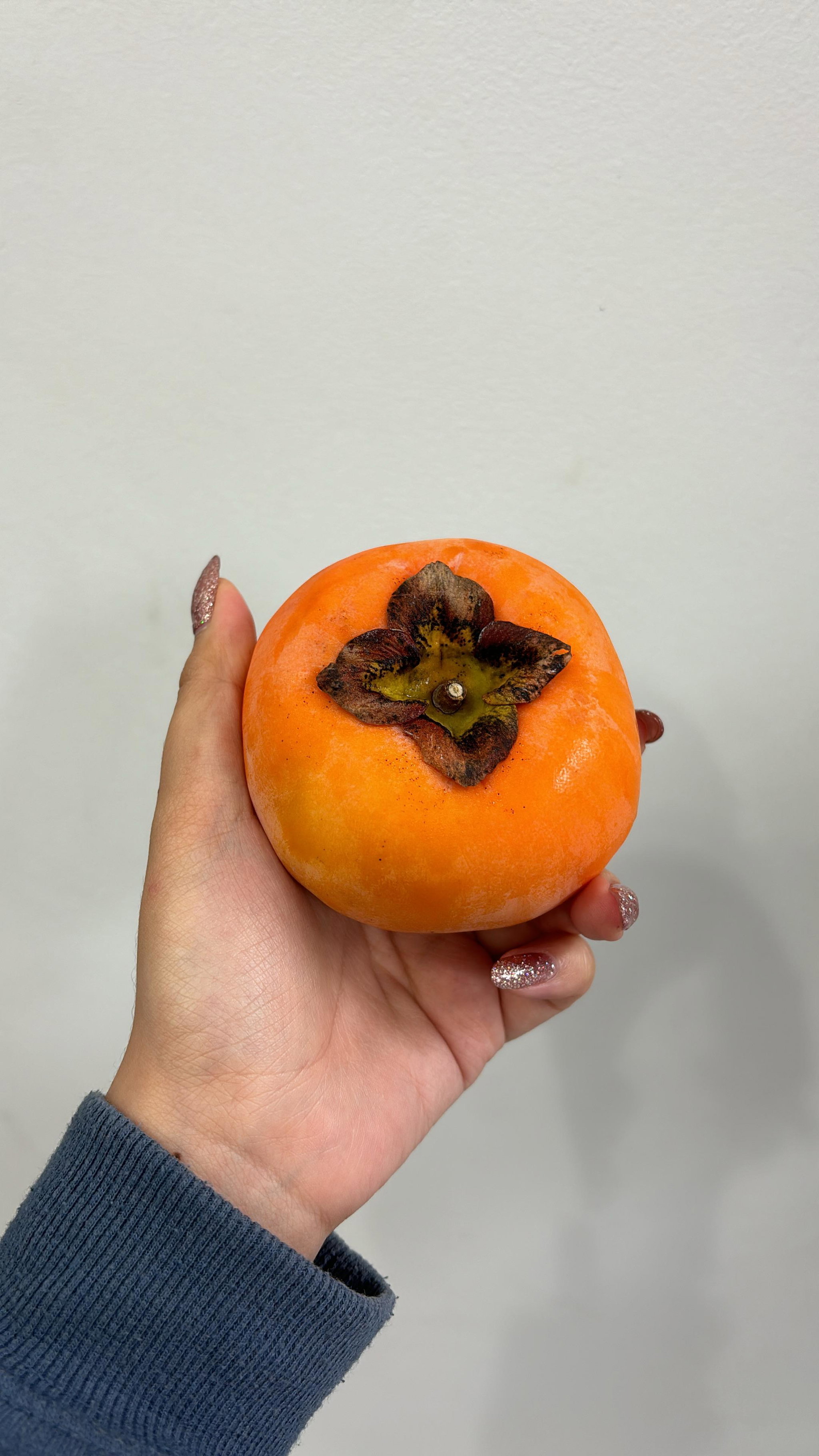 Japan Aichi Taisugaki Persimmon _0
