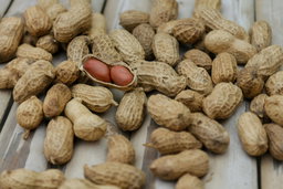 Shelled groundnuts