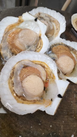 日本扇貝🐚（2隻⚠️）（中 Size ）