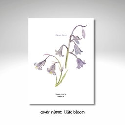 Lilac bloom