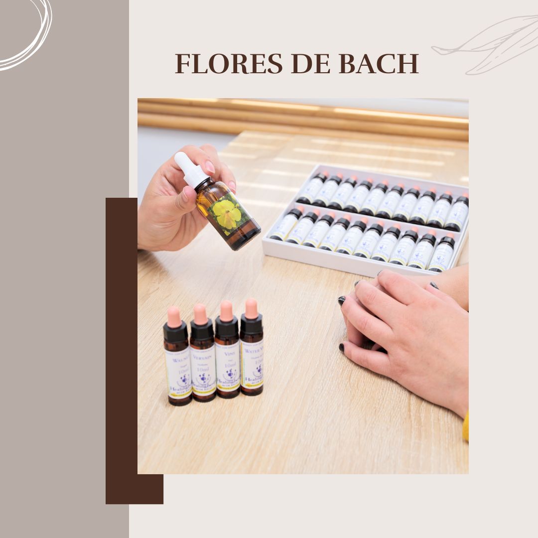 Oferta Terapia de Flores de Bach 10% de descuento Primera Fórmula