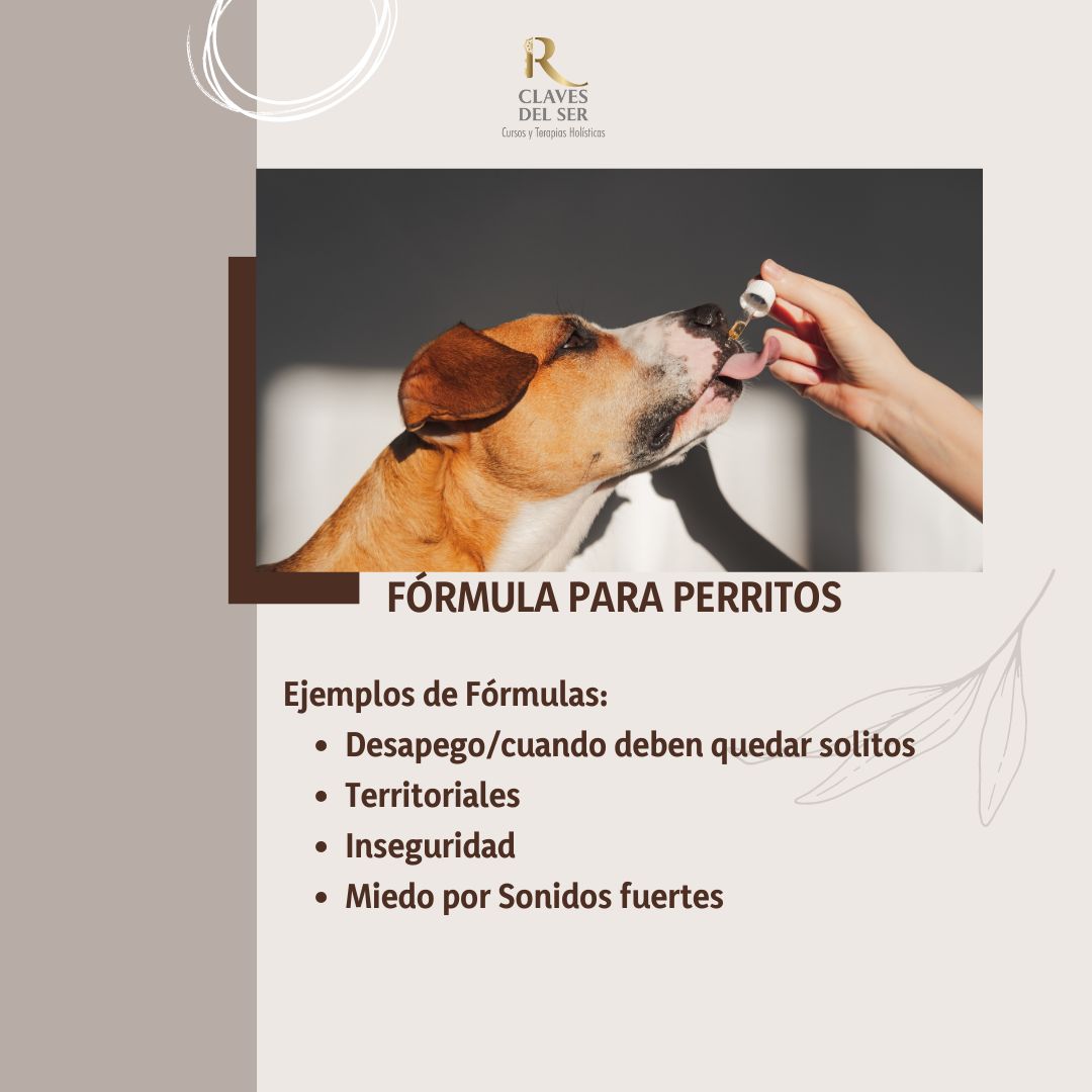 Oferta Terapia de Flores de Bach 10% de descuento Primera Fórmula_2