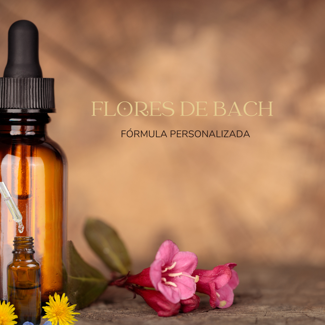 Oferta KIT 6 Meses, 35 % Descuento Terapia de Flores de Bach