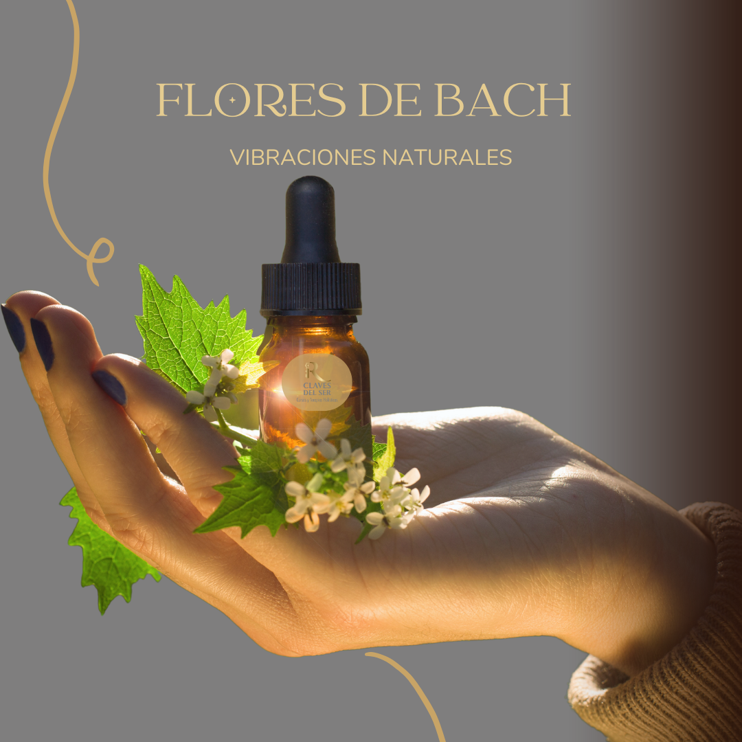 Oferta KIT 6 Meses, 35 % Descuento Terapia de Flores de Bach_1