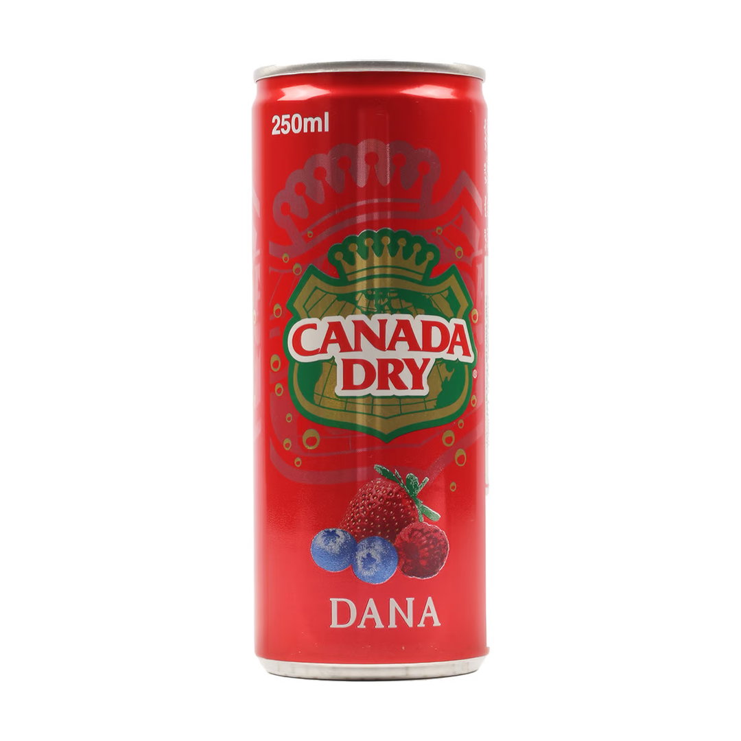 CANADA DRY DANA 250ML