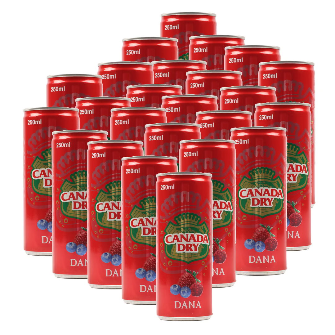 CANADA DRY DANA 24*250ML
