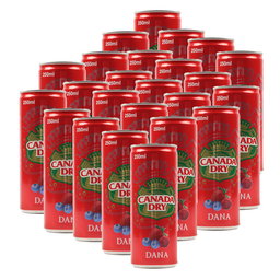 CANADA DRY DANA 24*250ML