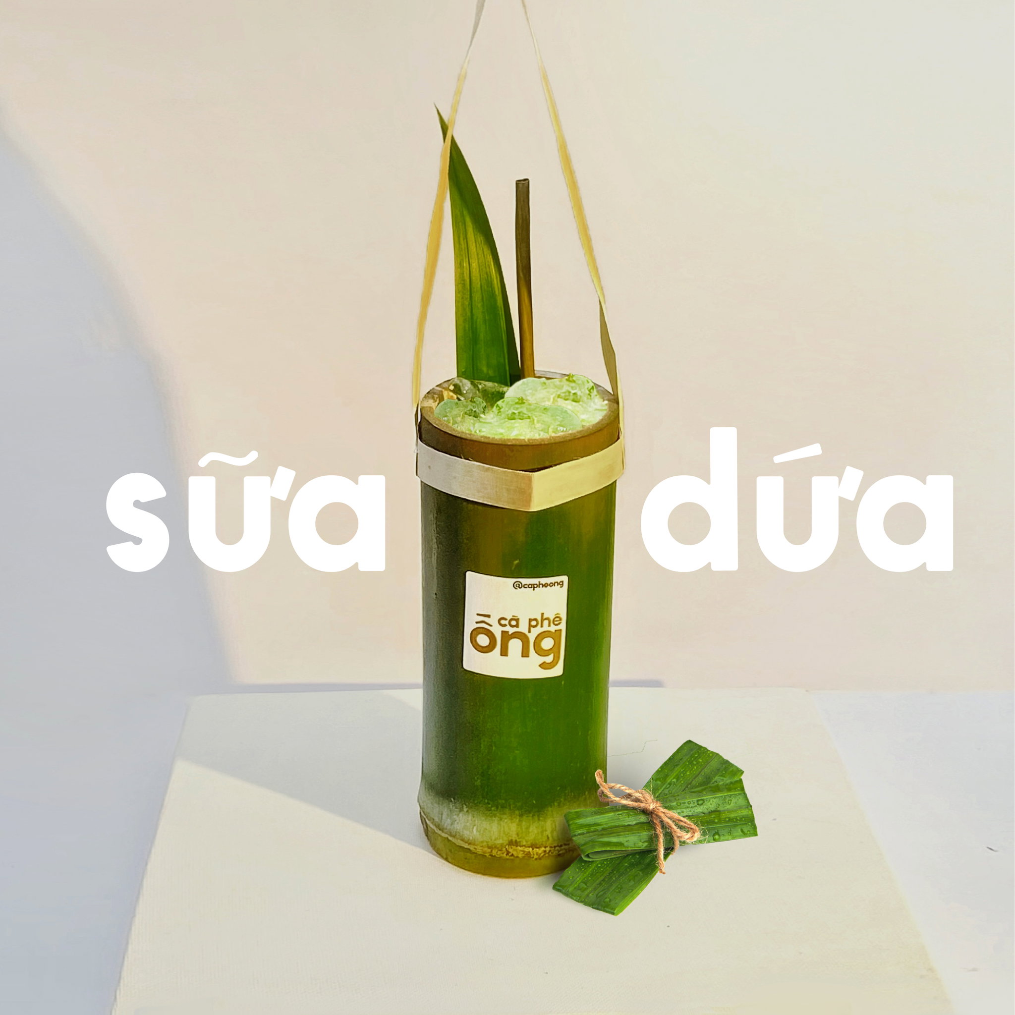 sữa lá dứa ống_0