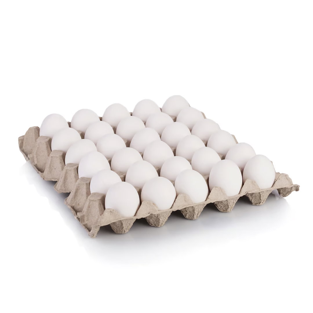 WHITE EGGS MEDIUM 30pcs