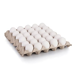 WHITE EGGS MEDIUM 30pcs