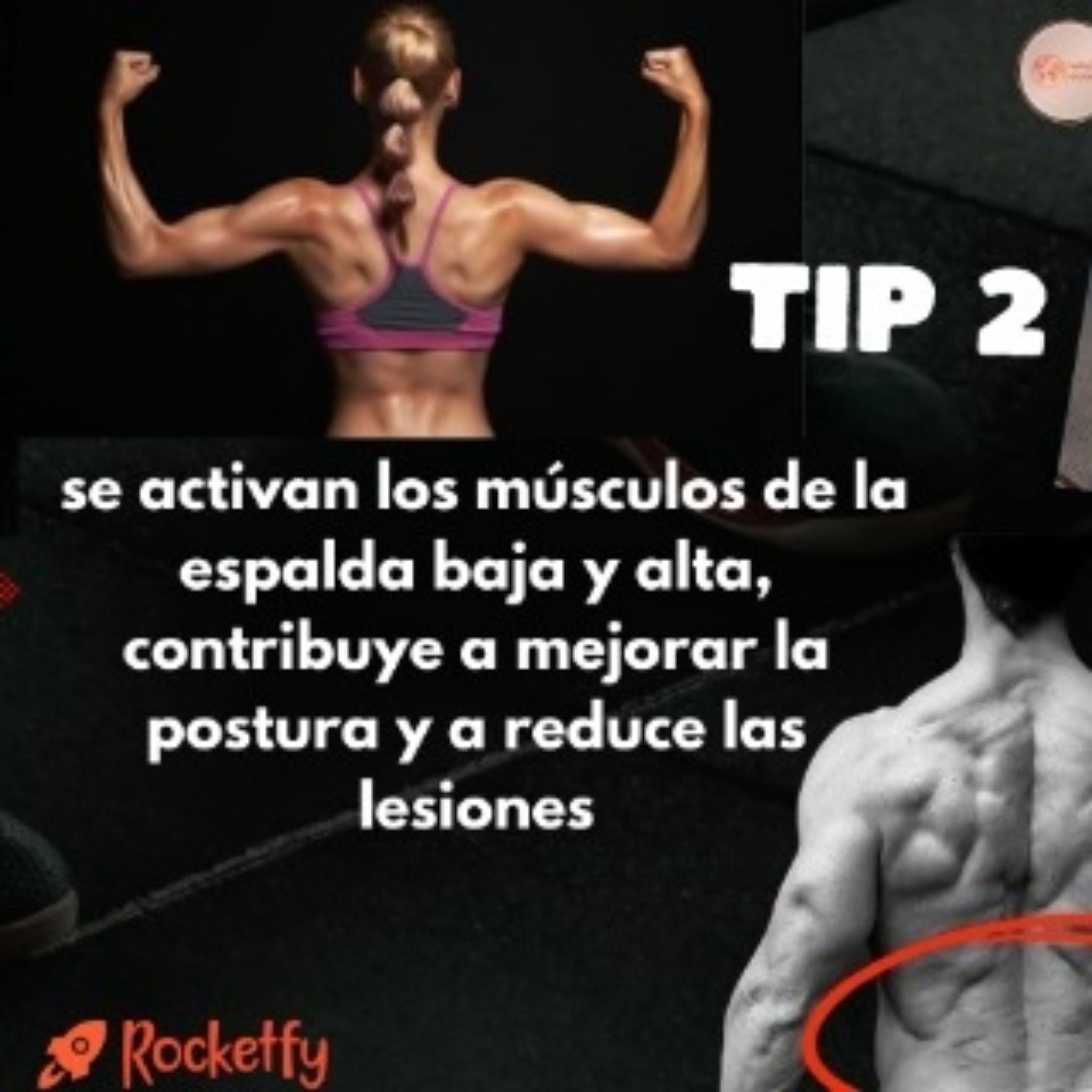 Rueda abdominal_3