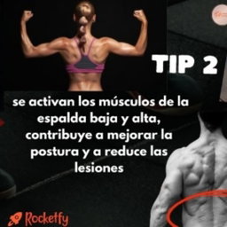Rueda abdominal