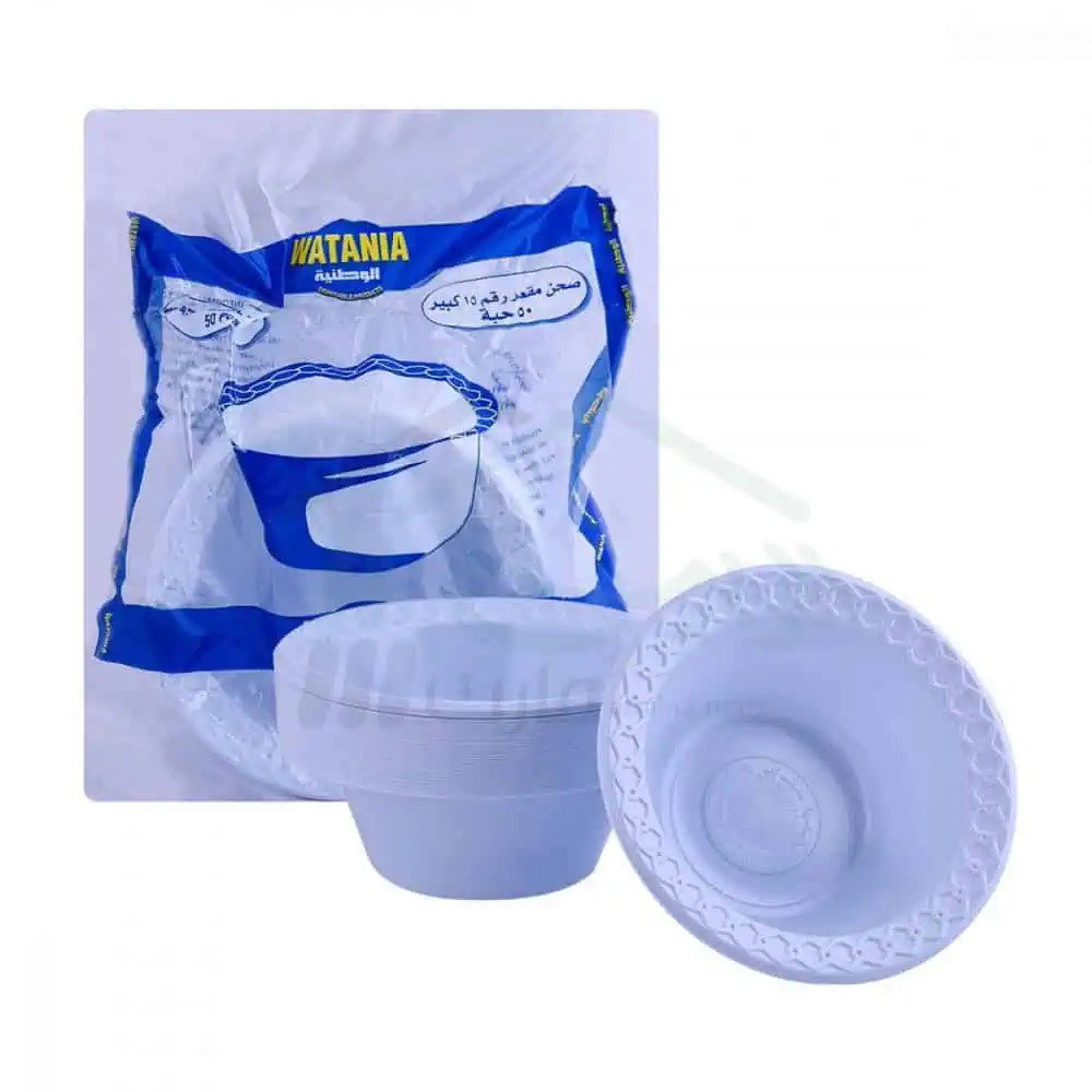 WATANIA PLATE-BOWL-BIG NO15