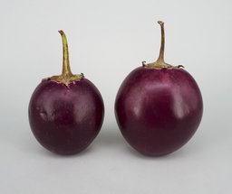 🍆INDIAN EGGPLANT🍆 x 15 organic seeds 